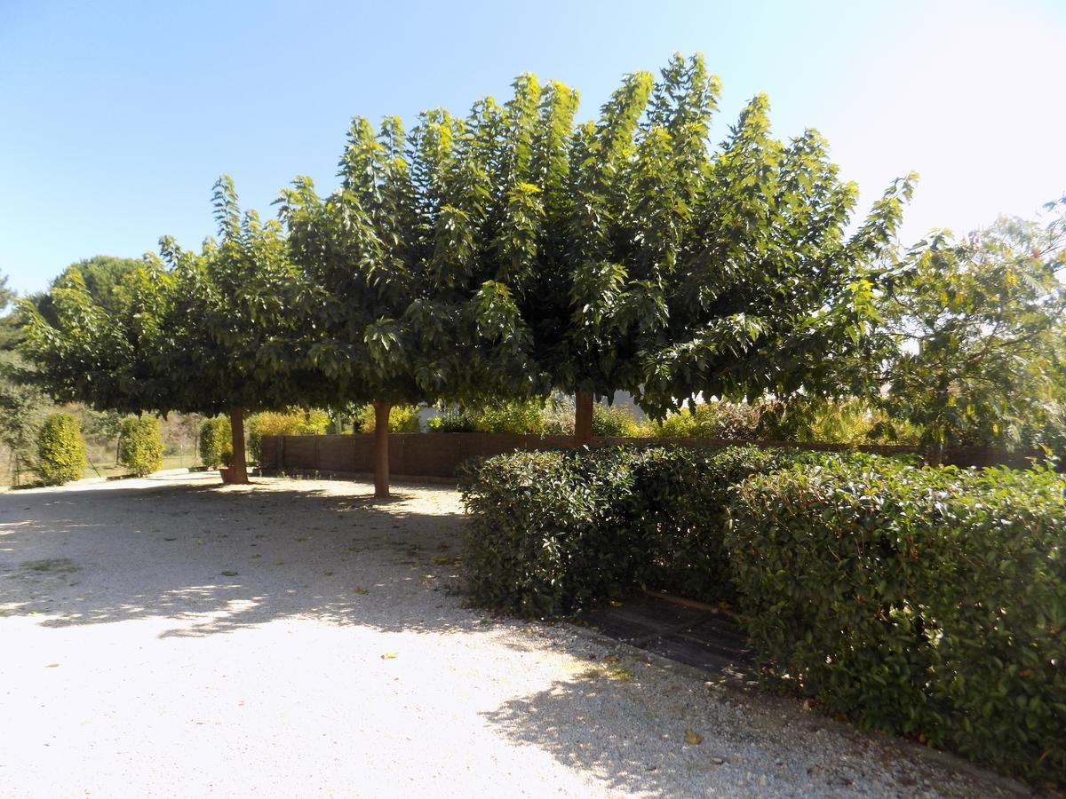 B&B La Vieille Source Saint-Martin-dʼArdèche Екстериор снимка
